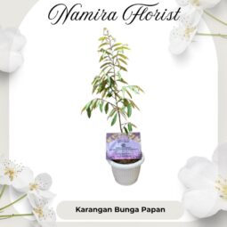 Ucapan Bibit Pohon & Buah Durian