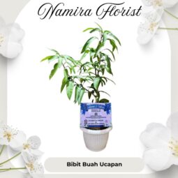 Ucapan Bibit Pohon & Buah Mangga