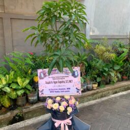 Ucapan Bibit Mangga